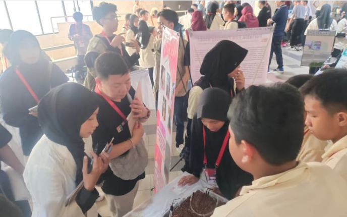 Panoramic view of Chocolate Hills with green hills and blue sky, Bohol, Philippines